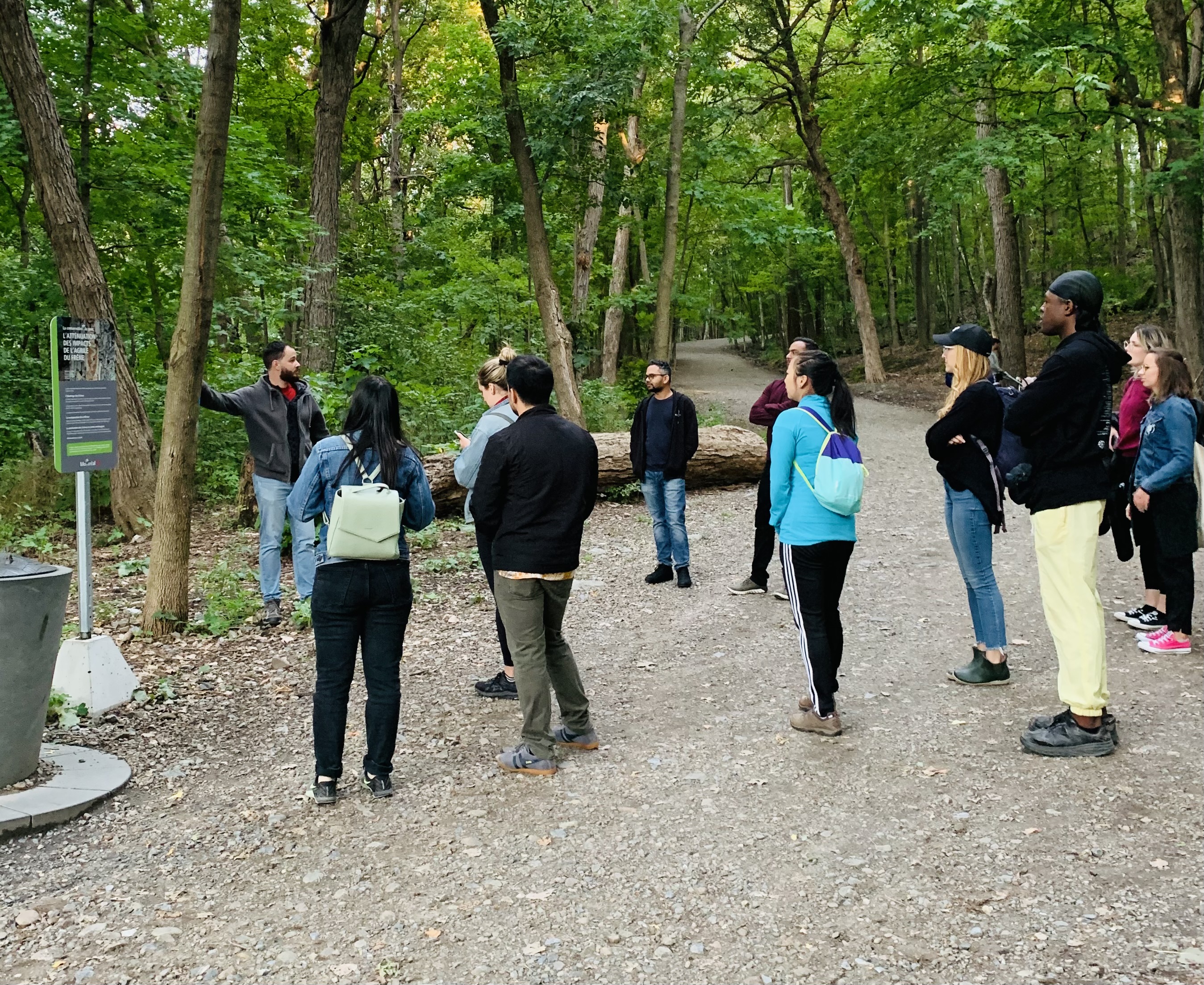 Path up to Belvedere Outremont