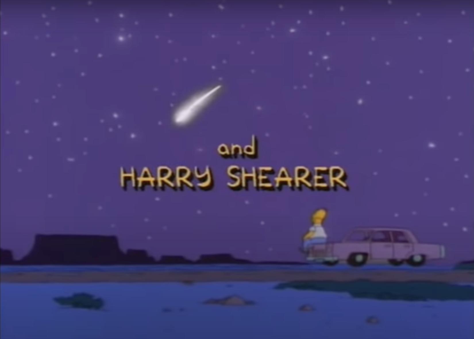 Homer Simpson sees a meteor flash in the night sky