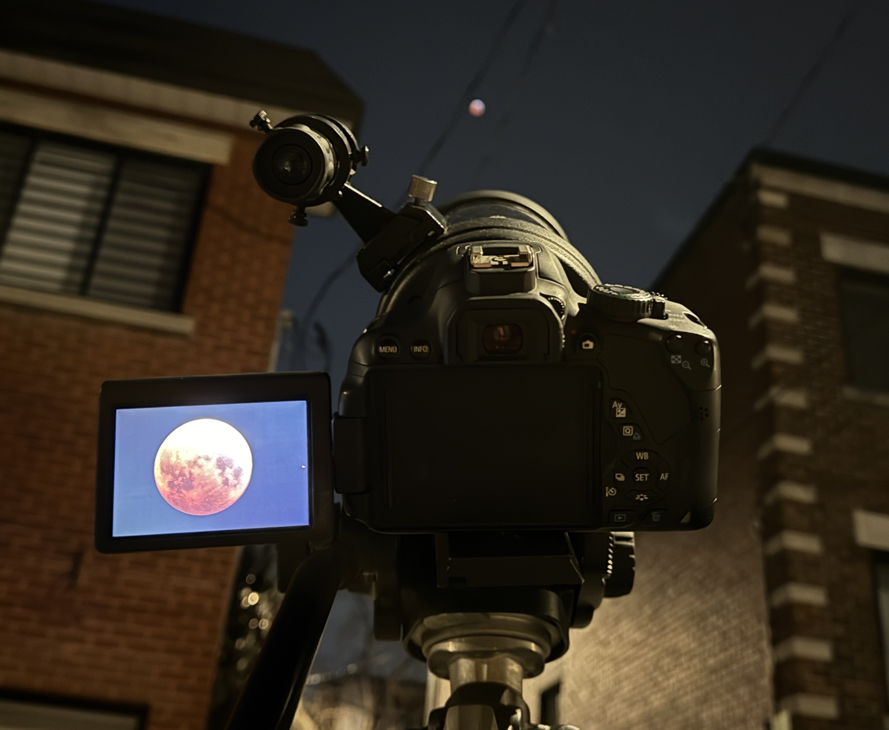 March 14, 2025 lunar eclipse from in front of our house